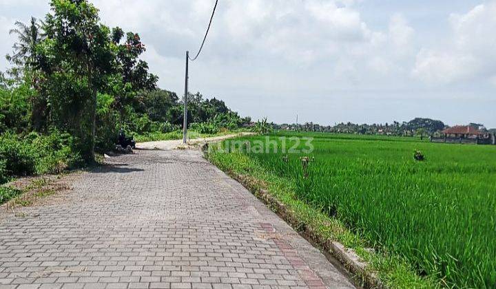 Land for sale 7.35 are with rice field view @nyitdah, Tabanan Bali 2