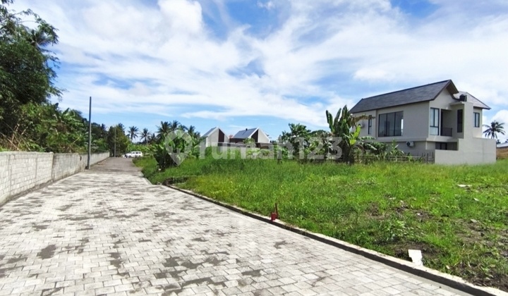 Dijual Tanah Kavlingan View Sawah @Yeh Gangga Tabanan Dijual Tanah Kavlingan View Sawah @Yeh Gangga Tabanan