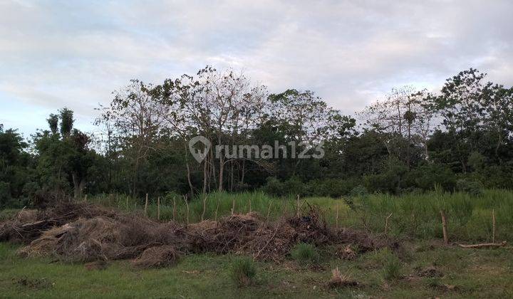 Leasehold/Tanah sewa dekat pantai bingin pecatu 1