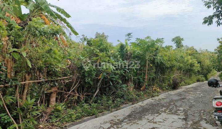 Lease/disewakan Sebidang Tanah Kosong view Laut di ungasan 5