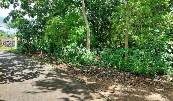 For lease/ disewakan Tanah dekat jalan utama labuhan sait pecatu 1