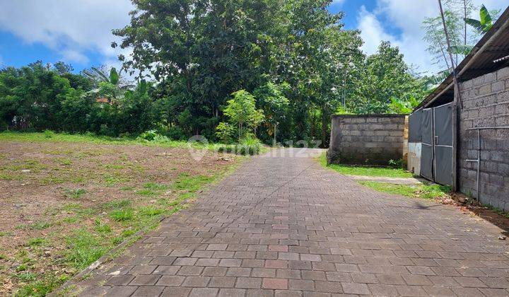 For lease/ disewakan Tanah dekat jalan utama labuhan sait pecatu 2