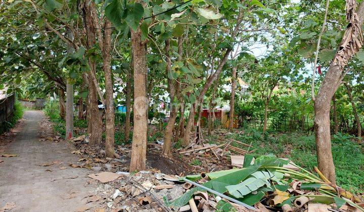 Dijual Sebidang Tanah Kosong Dekat ke Pusat perbelanjaan 1