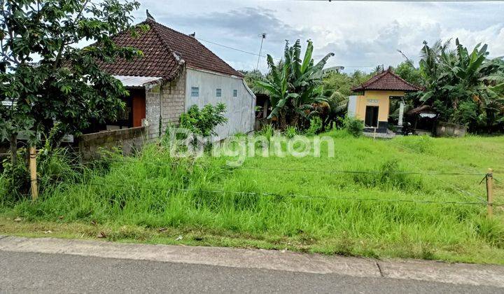 Dijual Tanah Kavling Strategis di Kaliakah, Negara – Jembrana | Luas 215 m² 1