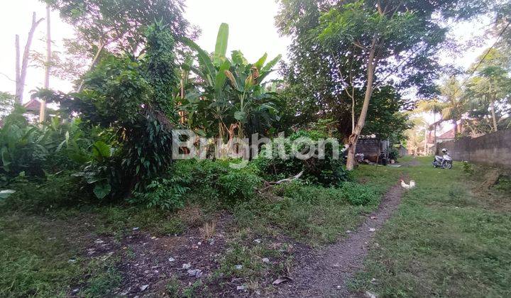 LARGE LAND WITH TOURISM POTENTIAL IN KEMENUH VILLAGE - UBUD 2