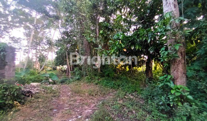 LARGE LAND WITH TOURISM POTENTIAL IN KEMENUH VILLAGE - UBUD 2