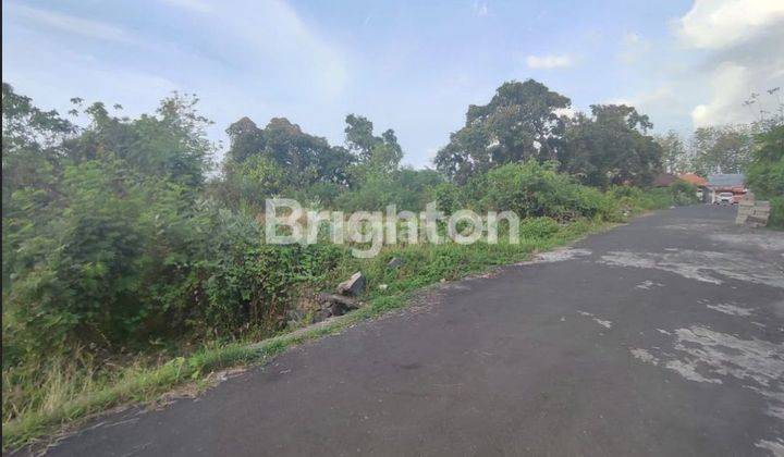 CHEAP LAND ON JL. PULAU MENJANGAN BULELENG 2