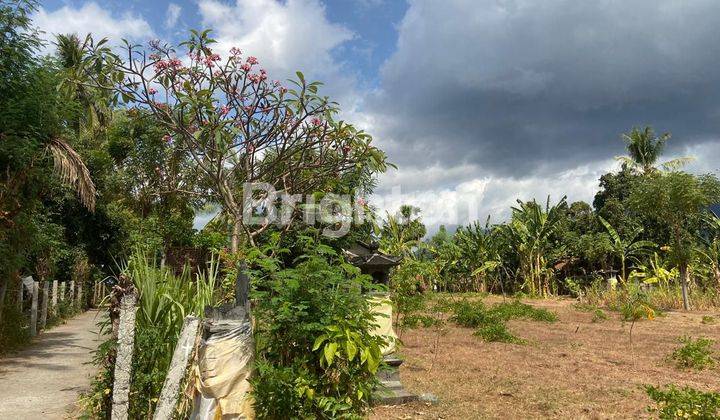 TANAH MURAH DEKAT OBYEK WISATA GEROKGAK 1