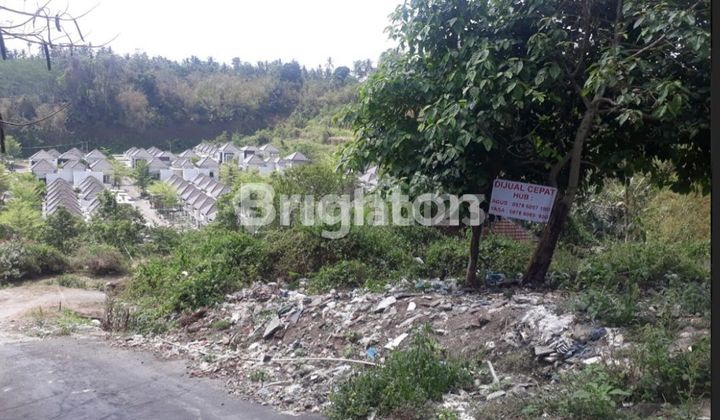 CHEAP LARGE LAND ON RAWAJALI STREET, TABANAN CHEAP LARGE LAND ON RAWAJALI STREET, TABANAN