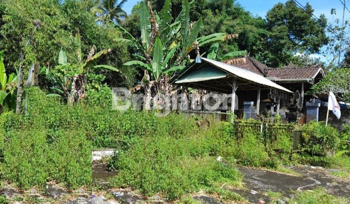 TANAH DI MEKARSARI TABANAN