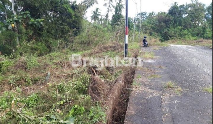 TANAH KAVLING MURAH DESA SEMBUNG GEDE, TABANAN