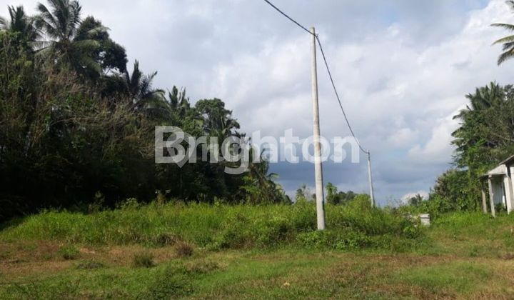 LAND PLOT JL.WISNU MARGA TABANAN LAND PLOT JL.WISNU MARGA TABANAN