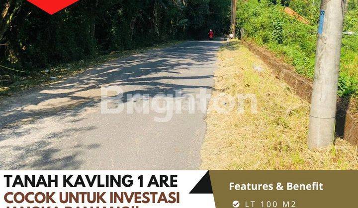 TANAH KAVLING KEDIRI, TABANAN 1