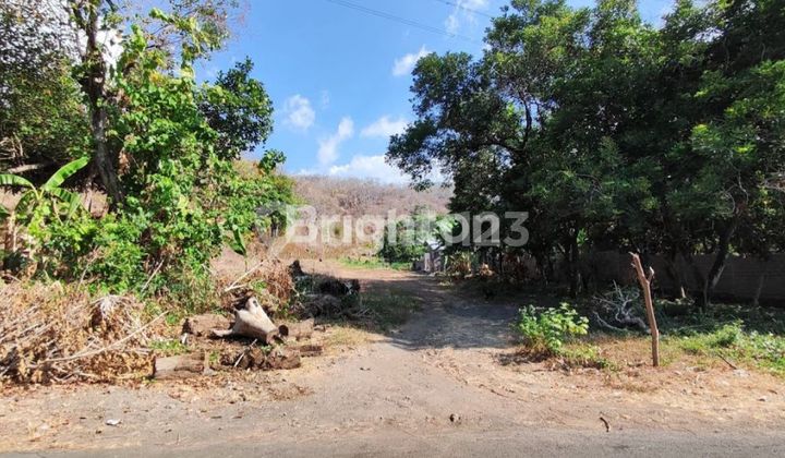 WIDE LAND IN TEMUKUS VILLAGE BULELENG WIDE LAND IN TEMUKUS VILLAGE BULELENG