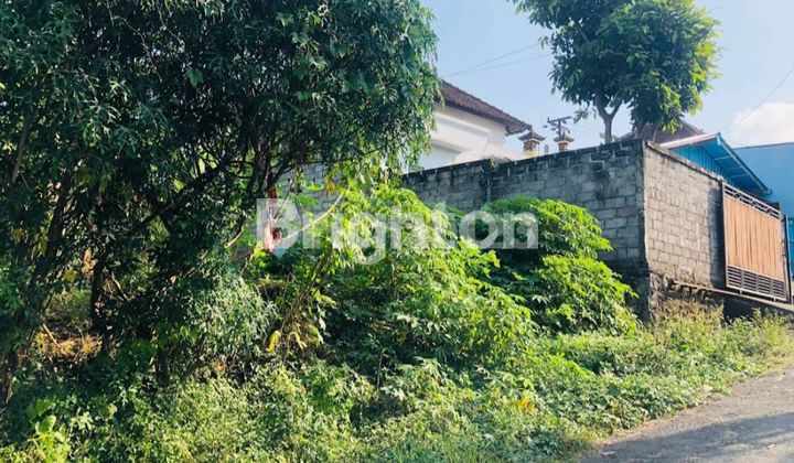 BEJI TABANAN LAND PLOT