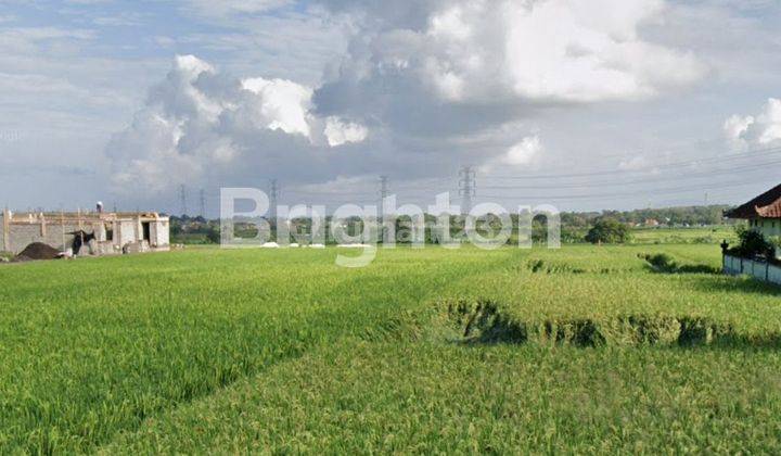 Tanah di Raya Munggu, Cocok Untuk dibangun Villa 2