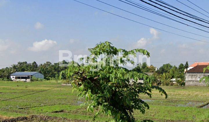 Tanah Luas Lokasi Strategis Cocok untuk Pabrik di Tabanan 2