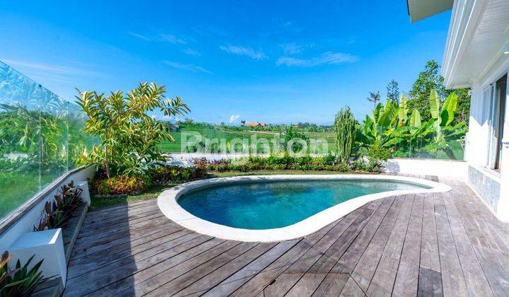 Modern Style Luxury Premium Villa In Canggu 2