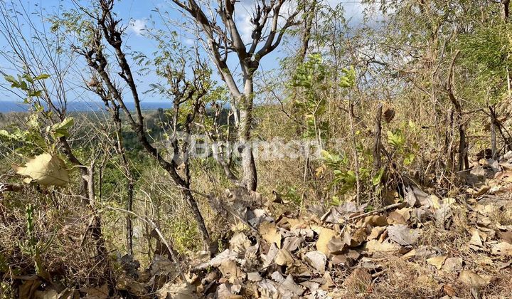 Tanah dengan View Laut dan Gunung, Strategis cocok untuk Lokasi Perumahan, Villa, ataupun tempat perkantoran di Buleleng-Singaraja Bali 2