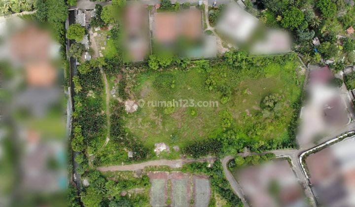 Jual Tanah Di Kemang 2HA harga dibawah NJOP 2