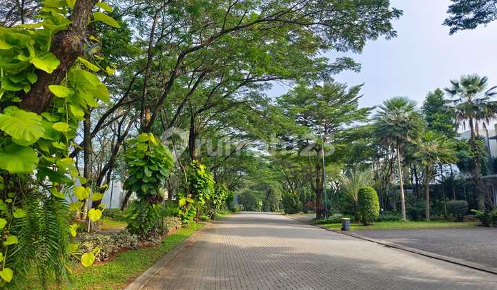 PRICE DROP FOR SALE CLUSTER GREEN COVE HOUSE - BSD CITY 2