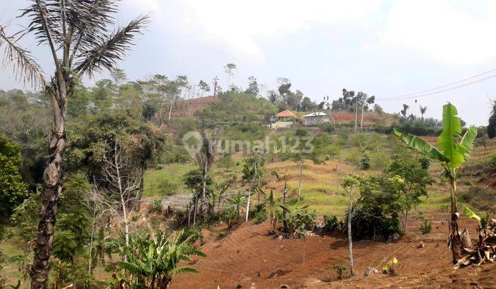 Dijual Tanah 4Ha di Nongkod Cibeunying Bandung Nego sampai deal 2