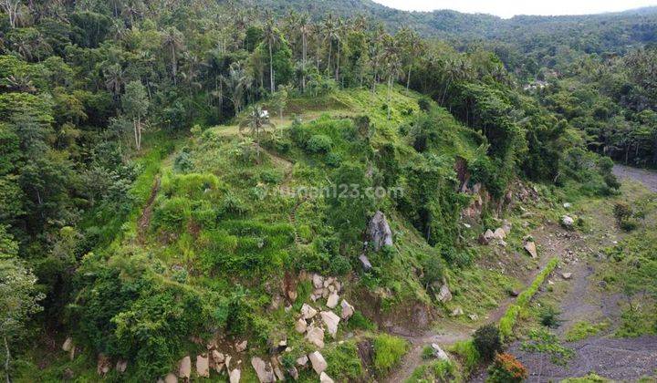 Dijual Kavling 12400 M² 700.000 Nego 2