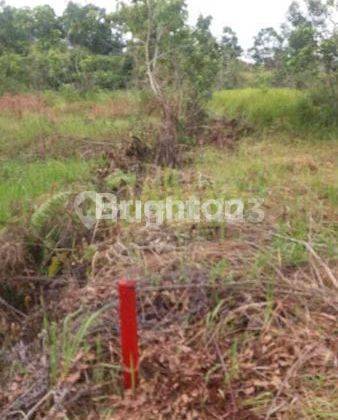 Tanah kavling ukuran 10x15 dekat stadion  batakan 2