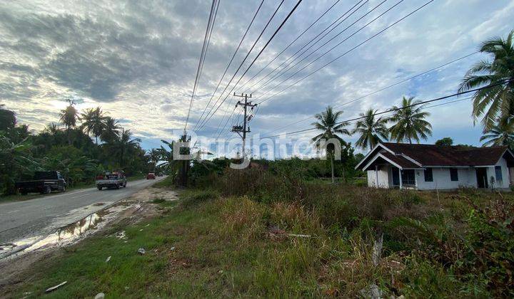 Tanah seluas 6725 m² di Samboja dipinggir jalan utama 2