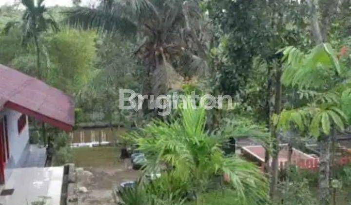 paket Gold Berupa Tanah+rumah+ kolam ikan 2