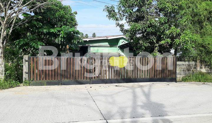 RUMAH PLUS GUDANG DIPINGGIR JALAN BESAR DAN DEKAT PELABUHAN FERRY DAN LAPANGAN GOLF RUMAH PLUS GUDANG DIPINGGIR JALAN BESAR DAN DEKAT PELABUHAN FERRY DAN LAPANGAN GOLF