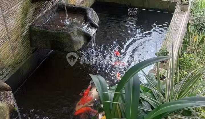 Rumah Halaman Luas Dekat Terminal Batu Ampar Balikpapan 2