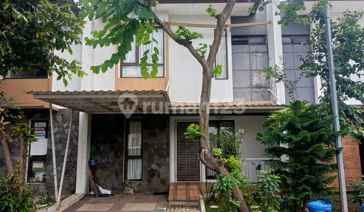 Master Room 2nd Floor, Semi-Furnished, Kitchen Set, Swimming Pool, Cluster Near Schools/Stores/Car-Free Day Area/Toll Gate. Master Room 2nd Floor, Semi-Furnished, Kitchen Set, Swimming Pool, Cluster Near Schools/Stores/Car-Free Day Area/Toll Gate.