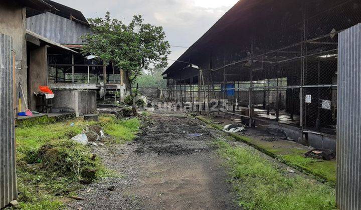 Tanah peternakan di desa taman rejo limbangan 2