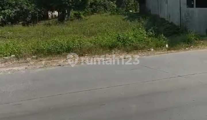 Dijual Tanah Istimewa di Jalan Besar Daerah Kaliwungu Kendal Dijual Tanah Istimewa di Jalan Besar Daerah Kaliwungu Kendal