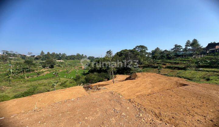  Tanah Murah Sejuk Dingin Berkabut Shm Di Puncak Bogor 2