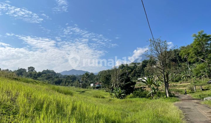 Jual tanah murah shm di wisata cisarua puncak bogor Jual tanah murah shm di wisata cisarua puncak bogor