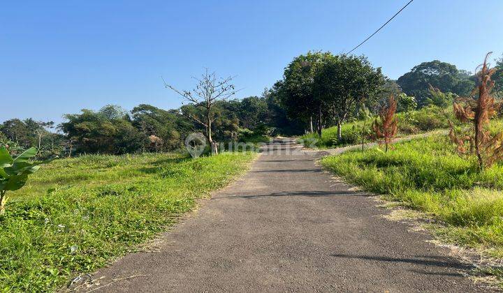  Tanah Murah di Jln alternatif taman safari puncak bogor, Puncak 2