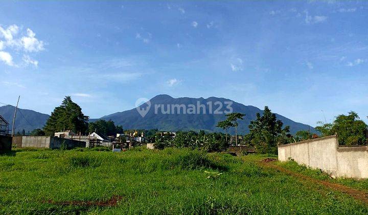 Tanah  jln alternatif puncak cisarua best view 1