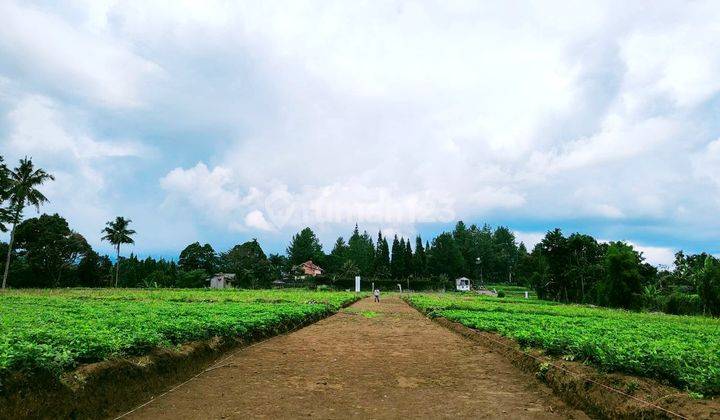 Tanah jln alternatif puncak megamendung  2