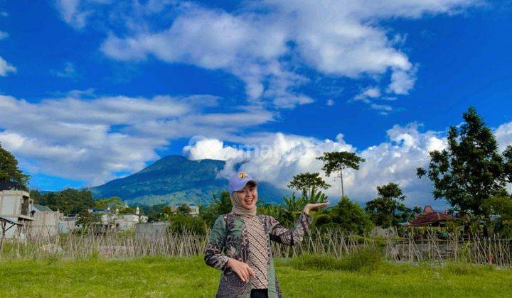 Tanah di jln alternatif taman safari bumi citeko puncak SHM 1