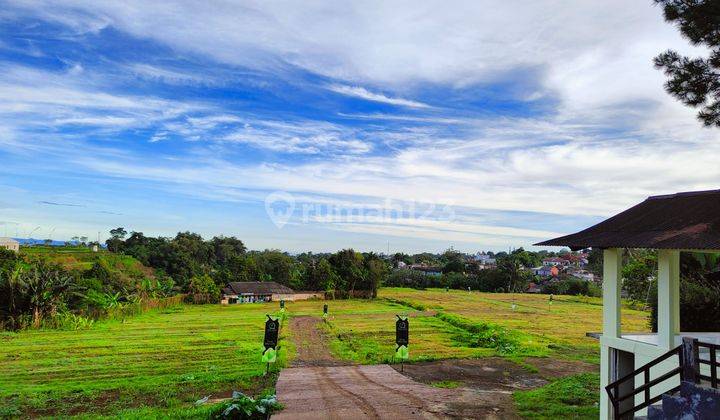 Tanah di jln alternatif cisarua puncak bogor SHM 1