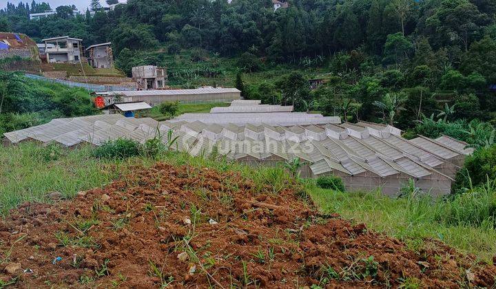 Tanah murah di jln alternatif taman safari cisarua puncak 2