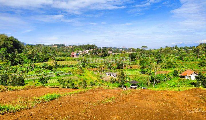 Tanah murah di Jln alternatif taman safari cisarua puncak bogor 1