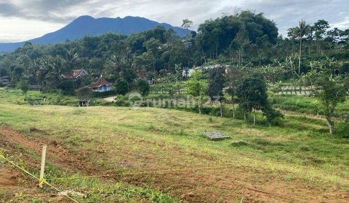 Tanah murah di jln alternatif taman safari bumi citeko cisarua  1