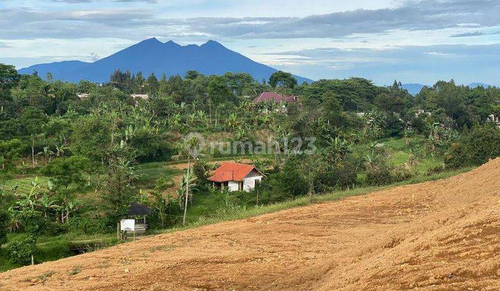 Tanah murah di jln alternatif taman safari bumi citeko cisarua  2