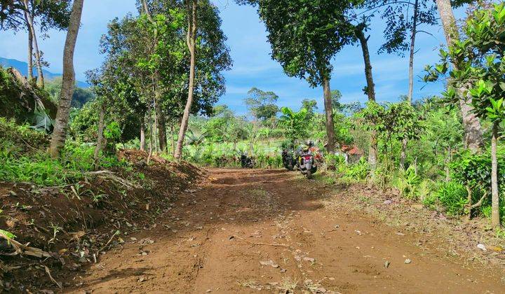 Tanah murah di jln alternatif taman safari bumi citeko cisarua  6