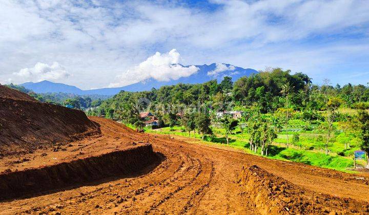 Tanah murah di Jln alternatif taman Safari citeko cisarua puncak 2