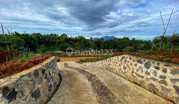 Tanah murah di jln warudoyong megamendung puncak 2