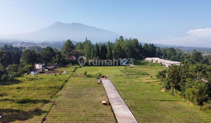 Tanah murah di jln munjul desa sukamanah kec megamendung 200 SHM 1